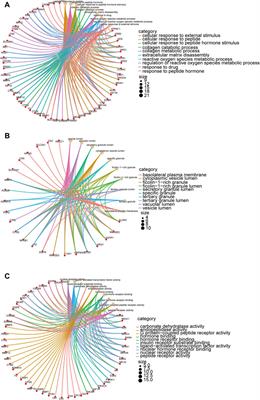 Revealing the role of metformin in gastric intestinal metaplasia treatment